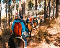 Paseo a Caballo Cusco – Actividad al Aire Libre