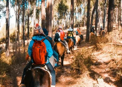 Paseo a Caballo Cusco – Actividad al Aire Libre